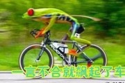 娱乐吃瓜酱自行车,自行车界的潮流新宠